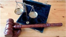 Área de Direito Penal