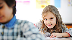 Educacional / Escolar